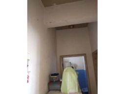 https://img.olx.com.br/thumbs256x256/88/885524047613385.jpg