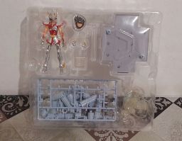 https://img.olx.com.br/thumbs256x256/88/885697685949504.jpg