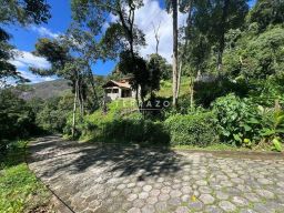 https://img.olx.com.br/thumbs256x256/88/886550649832586.jpg