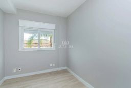 https://img.olx.com.br/thumbs256x256/88/887536404854557.jpg