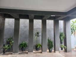 https://img.olx.com.br/thumbs256x256/88/887560516199662.jpg