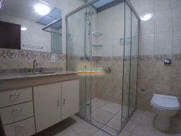https://img.olx.com.br/thumbs256x256/88/887583409420850.jpg