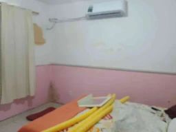 https://img.olx.com.br/thumbs256x256/88/888506169448365.jpg