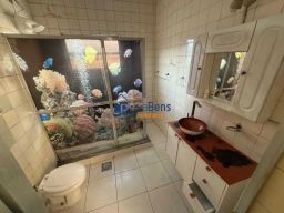 https://img.olx.com.br/thumbs256x256/88/888526638700469.jpg