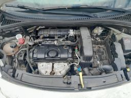 https://img.olx.com.br/thumbs256x256/88/888563150336751.jpg