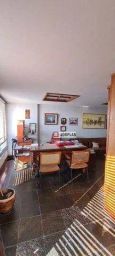 https://img.olx.com.br/thumbs256x256/88/888565527781239.jpg