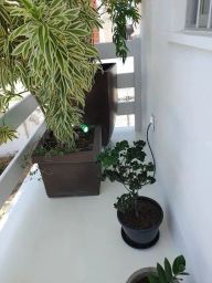 https://img.olx.com.br/thumbs256x256/88/888594634743483.jpg