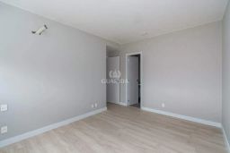 https://img.olx.com.br/thumbs256x256/88/889559168319324.jpg