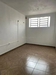 https://img.olx.com.br/thumbs256x256/88/889566648727953.jpg