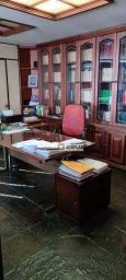 https://img.olx.com.br/thumbs256x256/88/889567764761053.jpg