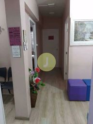 https://img.olx.com.br/thumbs256x256/89/891536647623704.jpg