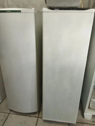 https://img.olx.com.br/thumbs256x256/89/891586627669187.jpg