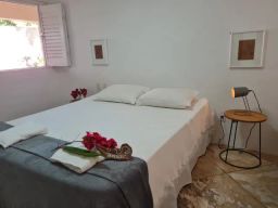 https://img.olx.com.br/thumbs256x256/89/892363431881658.jpg
