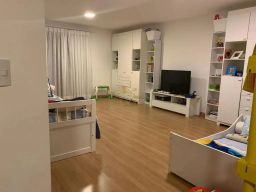 https://img.olx.com.br/thumbs256x256/89/892522647799791.jpg
