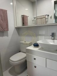 https://img.olx.com.br/thumbs256x256/89/892527163382347.jpg