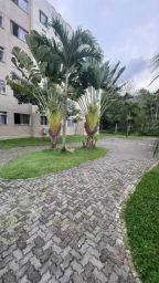 https://img.olx.com.br/thumbs256x256/89/892536169392845.jpg