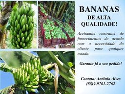 Título do anúncio: Vendas de Bananas