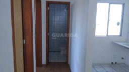 https://img.olx.com.br/thumbs256x256/89/895505286734017.jpg