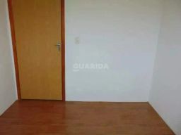 https://img.olx.com.br/thumbs256x256/89/895553526132037.jpg