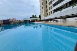 https://img.olx.com.br/thumbs256x256/89/896553889936890.jpg