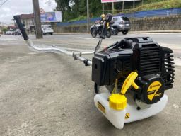 https://img.olx.com.br/thumbs256x256/89/896586281133299.jpg
