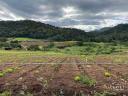 Título do anúncio: Fazenda / Sitio - Teresópolis - RJ