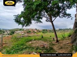 https://img.olx.com.br/thumbs256x256/89/897585637246022.jpg