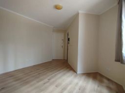 https://img.olx.com.br/thumbs256x256/89/898507646959187.jpg
