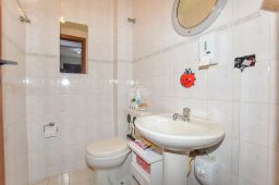 https://img.olx.com.br/thumbs256x256/89/898512875603372.jpg
