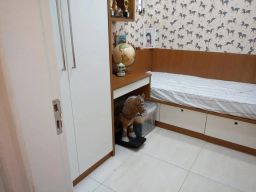 https://img.olx.com.br/thumbs256x256/89/899537880824705.jpg