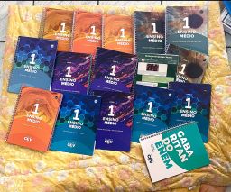 https://img.olx.com.br/thumbs256x256/90/900402718657503.jpg