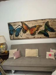 https://img.olx.com.br/thumbs256x256/90/900547528811012.jpg
