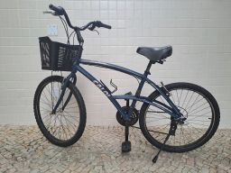 https://img.olx.com.br/thumbs256x256/90/900566737415461.jpg