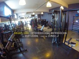 https://img.olx.com.br/thumbs256x256/90/900635910833766.jpg