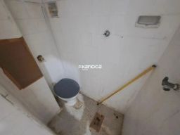 https://img.olx.com.br/thumbs256x256/90/901526523762422.jpg