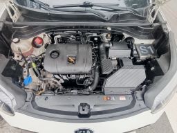 https://img.olx.com.br/thumbs256x256/90/901602314806812.jpg