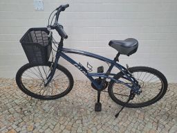 https://img.olx.com.br/thumbs256x256/90/903510010193470.jpg