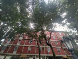 https://img.olx.com.br/thumbs256x256/90/903548287007355.jpg