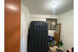 https://img.olx.com.br/thumbs256x256/90/903549525407955.jpg