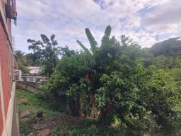 https://img.olx.com.br/thumbs256x256/90/903596409626845.jpg
