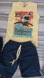 https://img.olx.com.br/thumbs256x256/90/904565524267692.jpg