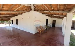 https://img.olx.com.br/thumbs256x256/90/906485233814406.jpg