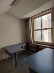 https://img.olx.com.br/thumbs256x256/90/907459697489562.jpg
