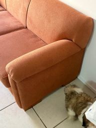 https://img.olx.com.br/thumbs256x256/90/907566250097649.jpg