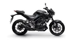 https://img.olx.com.br/thumbs256x256/90/907568129910675.jpg