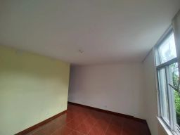 https://img.olx.com.br/thumbs256x256/90/907568280709000.jpg