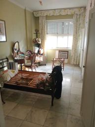 https://img.olx.com.br/thumbs256x256/90/909556271804946.jpg