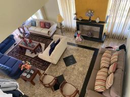 https://img.olx.com.br/thumbs256x256/91/910538402879424.jpg
