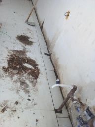 https://img.olx.com.br/thumbs256x256/91/910547164255968.jpg