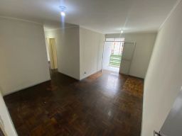 https://img.olx.com.br/thumbs256x256/91/910551525730743.jpg